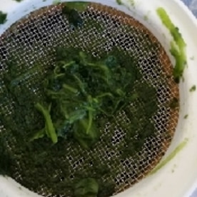 冷凍ほうれん草から作るピューレ 離乳食初期 レシピ 作り方 By 美麗 楽天レシピ 冷凍ほうれん草から作るピューレ 離乳食初期 レシピ 作り方 By 美麗 楽天レシピ